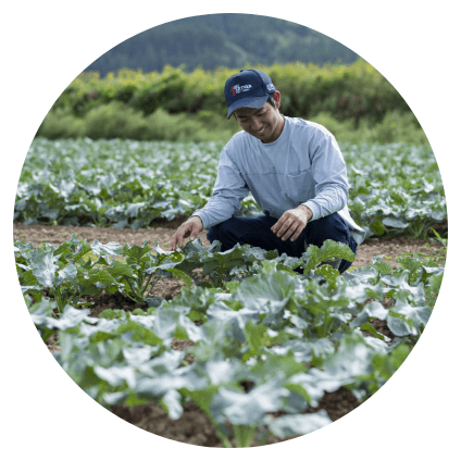 野菜・穀物の生産